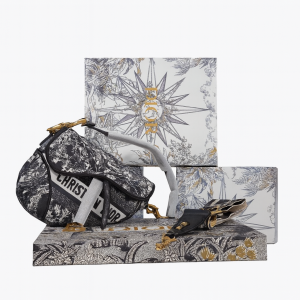 Sac Saddle Dior en toile brodée avec bandoulière amovible